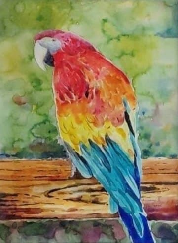 วันสบายของมาคอว์ บรรเลง ดำทองสุก ผลงานสีน้ำภาพนกมาคอว์ขนสีแดง เหลือง และฟ้าครามเกาะอยู่บนราวไม้ ท่ามกลางพื้นหลังสีเขียวที่ซึมผสานอย่างอิสระตามธรรมชาติของสีน้ำ